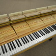 1983 Steinway D concert grand - Grand Pianos